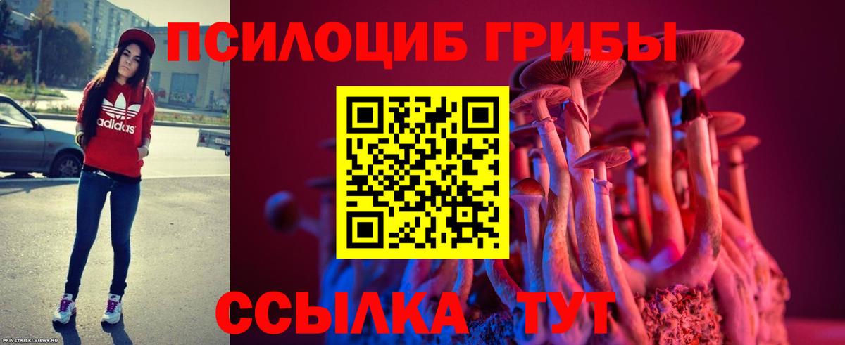 Галлюциногенные грибы Psilocybe  Вход с VPN  Россошь 
